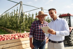 CA Farm Accounting